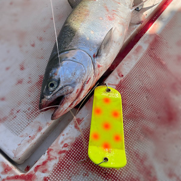 Fire Dot Coho Crusher