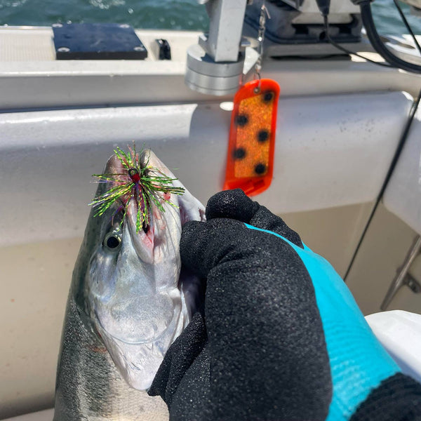 Orange Thursday (UV) Coho Crusher
