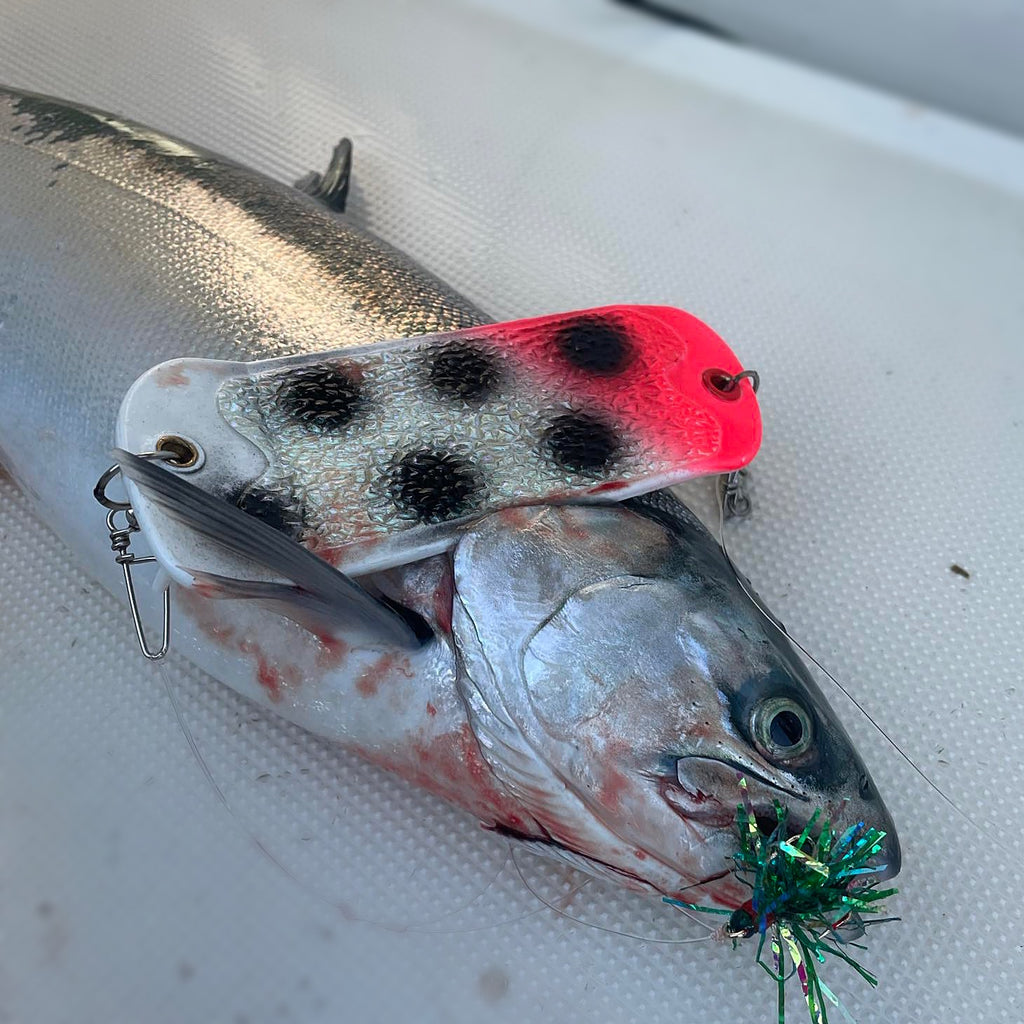 bloody fish hook Bloody Nose (GLOW) Coho Crusher – Mr. Derk's Tackle