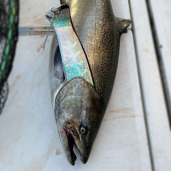 New School Black Wiggle (UV) (GLOW) Fish Blade