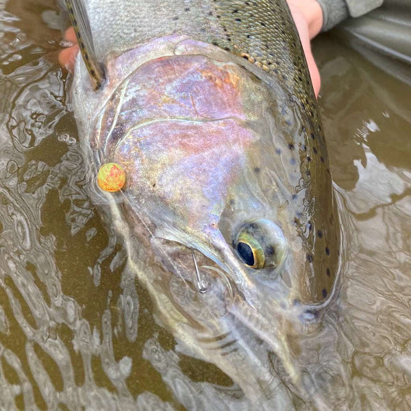 Brownie Punch Roe (GLOW) All Peg