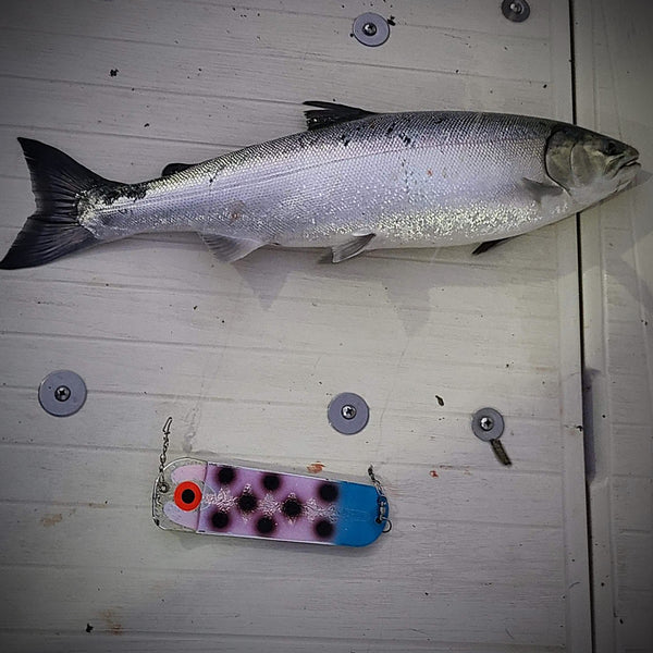 Blue Top 8 Dot Chrome (UV)