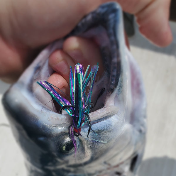 Mardi Gras Peanut Fly