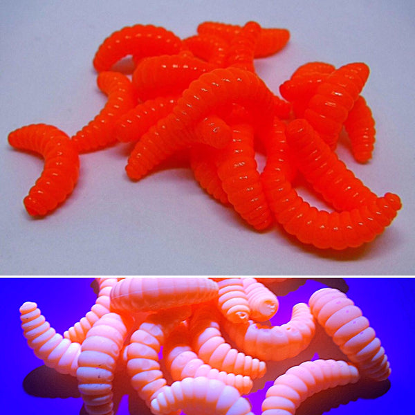 Orange Fire Grub (UV)